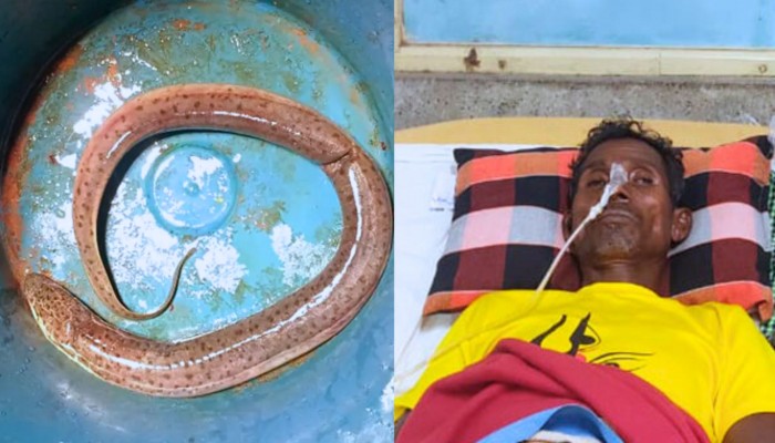 ২৫ ইঞ্চির জ্যান্ত কুঁচিয়া ছিল জেলের পেট