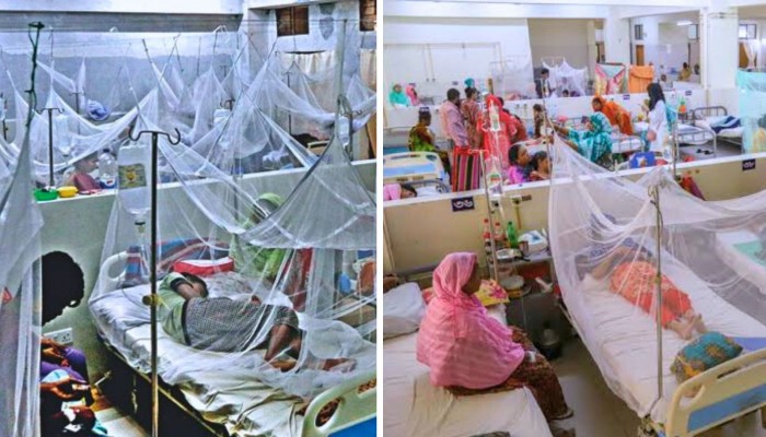 ডেঙ্গু আক্রান্তে আরও ১১ জন হাসপাতালে