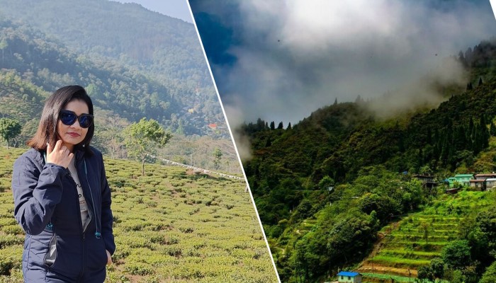 দার্জিলিংয়ের পাশে তিনচুলেতে লুকিয়ে আছে এক রূপকথার রাজ্য