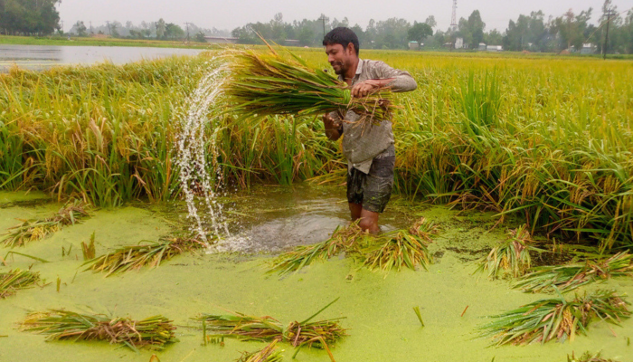 আয় বাড়ছে না, নিত্যপণ্যের ঊর্ধ্বগতিতে দেশে তীব্র খাদ্য সংকটের শঙ্কা