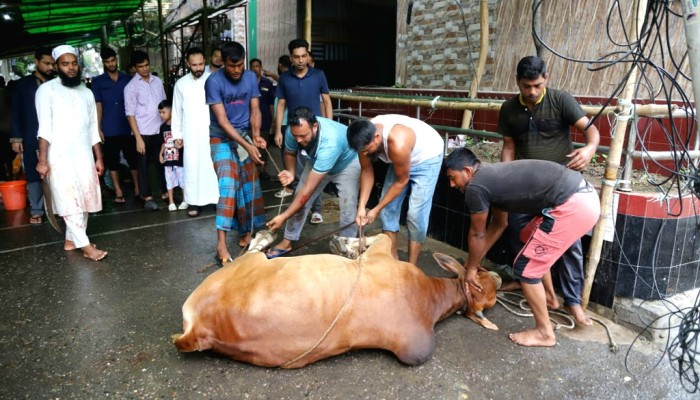 প্রথম দিন কসাই পাননি, দ্বিতীয় দিনে কোরবানি দিচ্ছেন নগরবাসী