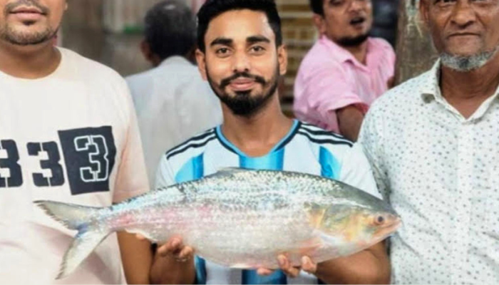 চাঁদপুরের বাজারে এক ইলিশের দাম ২৩ হাজার টাকা!